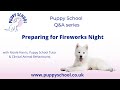 Puppy School Q&amp;A Series - Preparing for Fireworks Night