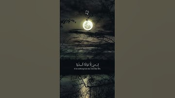 ﴿ وَلَئِنْ أَطَعْتُم بَشَرًا مِّثْلَكُمْ إِنَّكُمْ إِذًا لَّخَاسِرُونَ ﴾    سورة المؤمنون     #قرآن