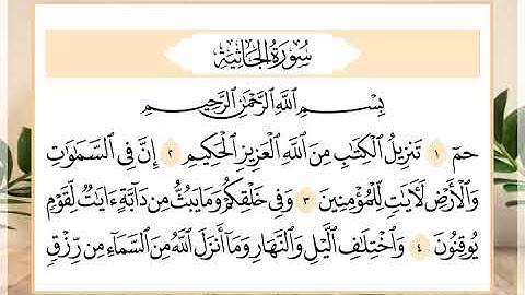 45 سورة الجاثية القارئ الشيخ حسن النخلي