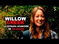 Willow creek 2013 el monstruo de california  resumen y explicacin