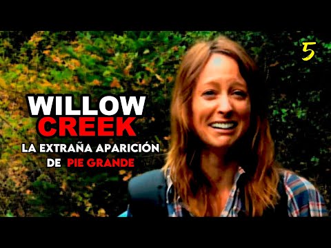 Video: Willow - un árbol de la familia Willow: descripción, foto