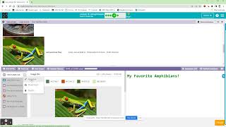 Famous Unit 2: Lesson 9 - Using Images I Web Development ('22-'23) - Code.org Wealth