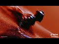                               كولومبي   تشي فاتشي حالتي