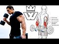 12 Exercises to Build Bigger Arms (Triceps, Biceps, Forearm Workout)