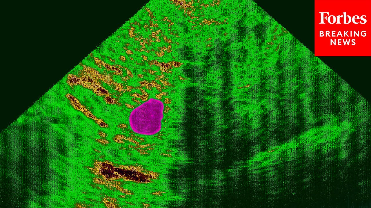 GOP Witness Says No State Laws Ban Her From Treating Ectopic Pregnancy