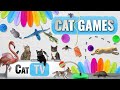 Jeux de chat  compilation ultime de cat tv vol 43  2 heures 