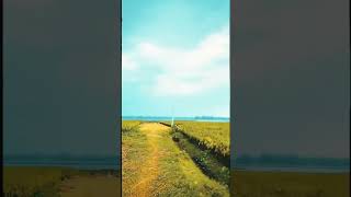 আমারে বানাইছো তুমি #viralvideos #islamicvideo #viral #foryou