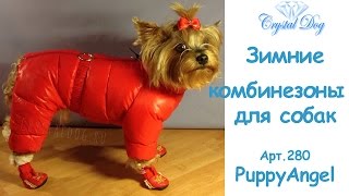 Комбинезоны для собак - Одежда для собак Комбинезоны для собак - Одежда для собак