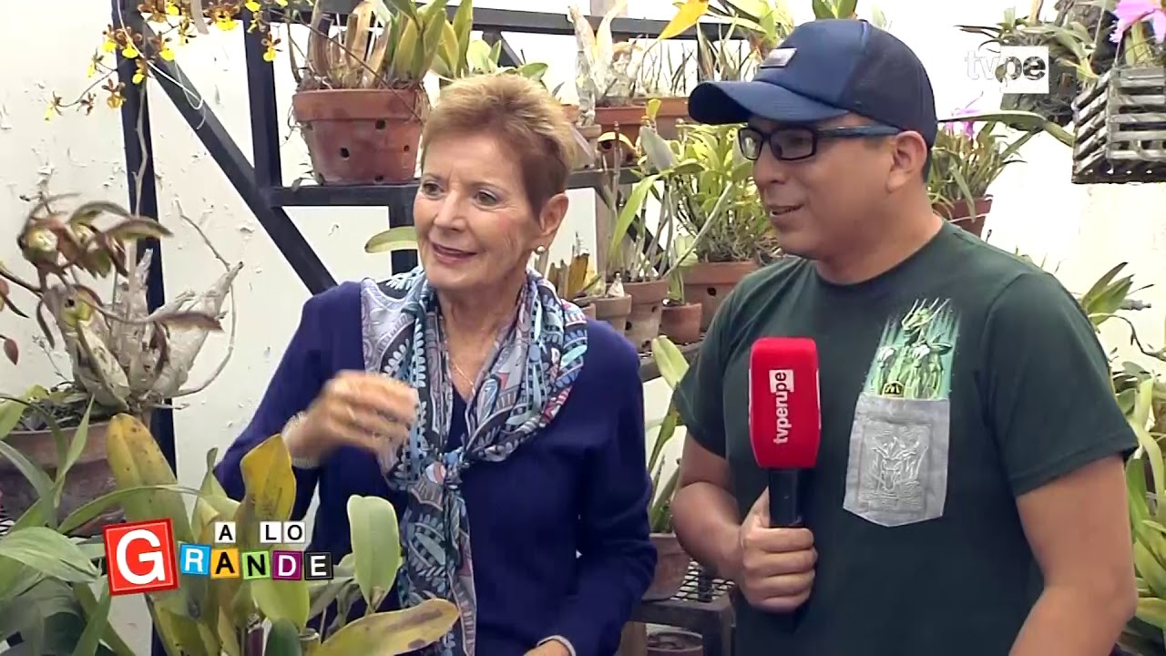 A lo Grande: Conozcamos las orquídeas (17/10/2019) | TVPerú