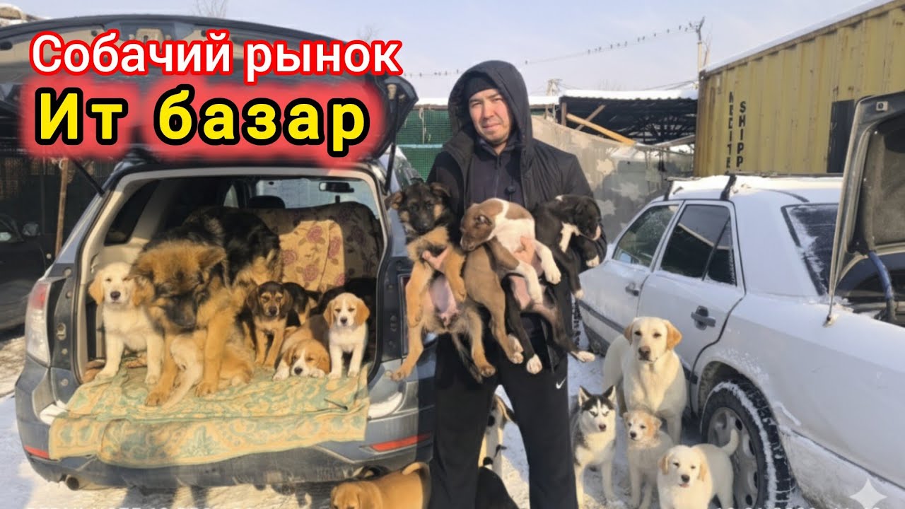 ИТ БАЗАР 18 ЯНВАРЬ 