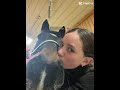 I don’t know what I would do without her #horse #horsegirl #equestrian #fyp #sunset #viral #trust