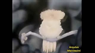 Comercial - Videocasetes Sharp (1987)