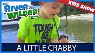 KIDS LEARN TO CATCH CRABS WITH BARE HANDS! | YOUTUBE FOR KIDS