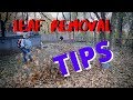 Leaf Clean up & Removal / Leaf blower annoying /Leaf blowers / Why Everybody Loves Leaf Blowers