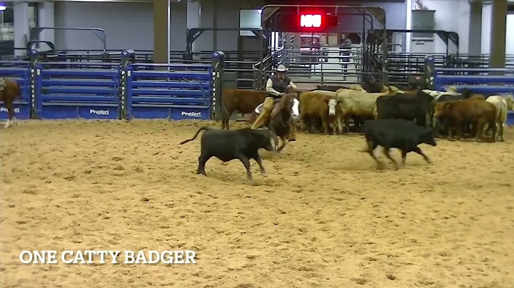 1-29-22   Am SW Tx CHA - Belton, TX - Jesse Busby ...