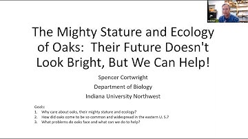 The Mighty Stature and Ecology of Oaks: Their Future Doesn’t Look Bright, But We Can Help!
