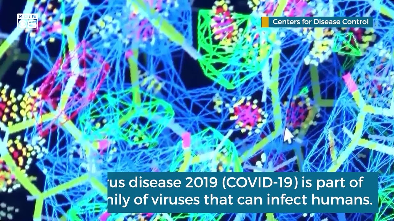 Coronavirus: History, symptoms & preventive measures