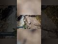 У що Пограти на Зимових Канікулах? ТОП 5 Атмосферних Ігор