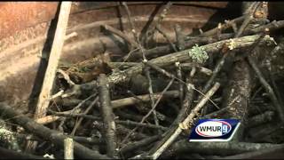 Campground in Weare promotes fire safety during red flag warning