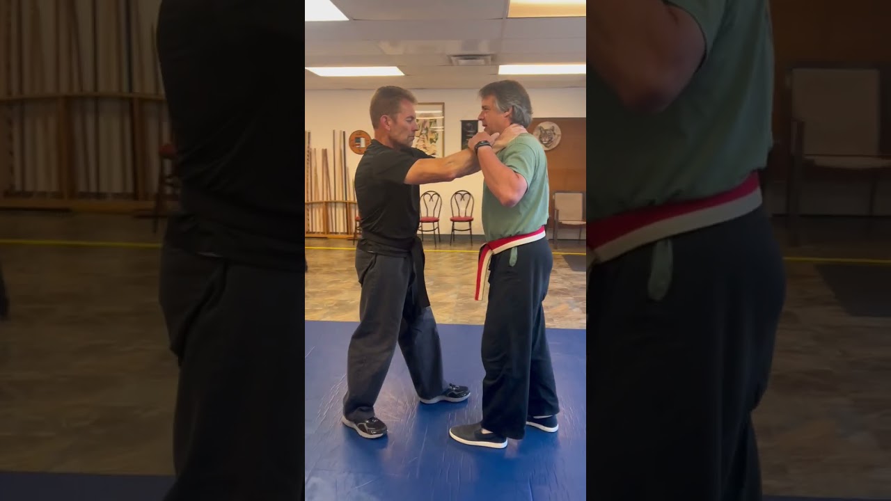 Mountaintop Martial Arts. Aiki Jutsu. Master Ron, Master Alyssa