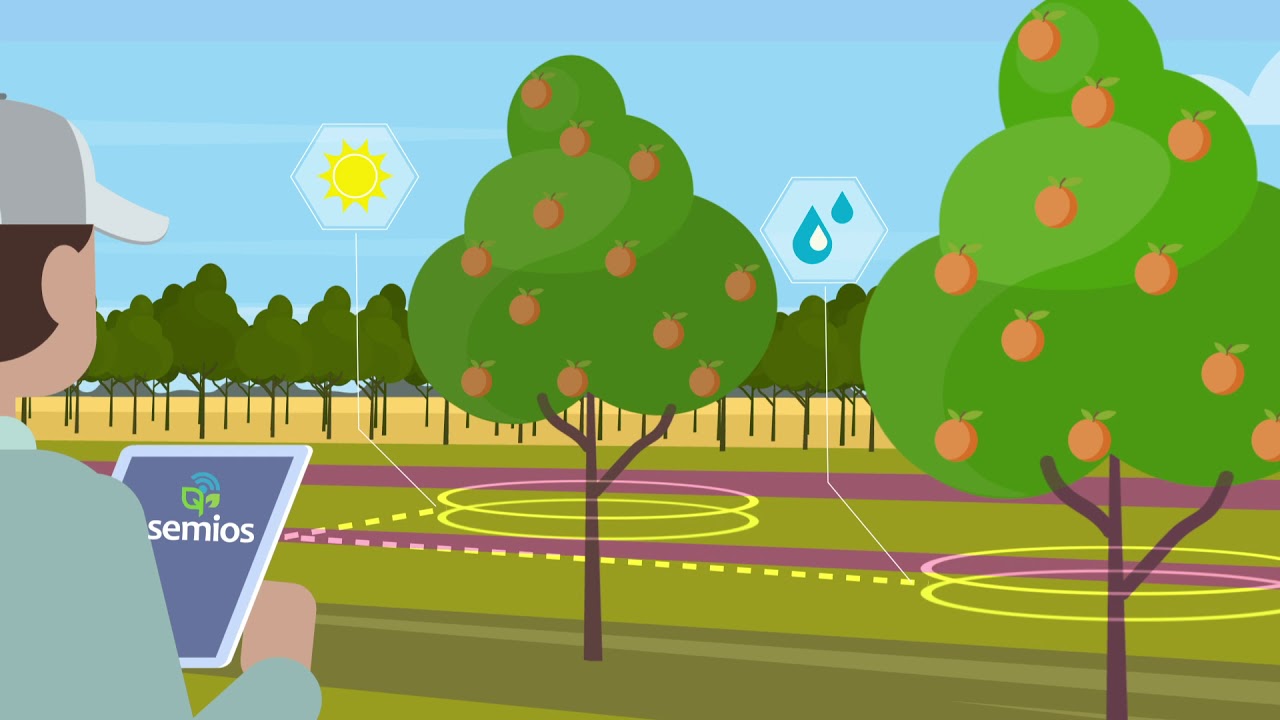 Semios: Precision Agriculture As A Service® - YouTube