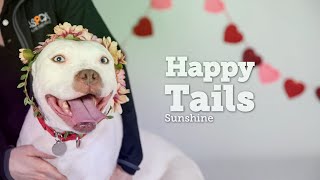 Sunshine's Future is Bright After Overcoming Behavior Issues by ASPCA 1,444 views 6 months ago 3 minutes, 18 seconds