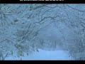 氷雪の海香西かおりyuotube