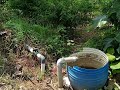 THIRUTHANI - 3.50 ACRES FARM - EB/WELL/BORE - ON STATE HIGHWAY - NEAR NATIONAL HIGHWAY - 9384662254.