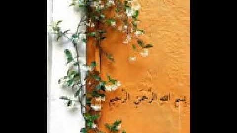 سورة الإخلاص للقارئ عبد الرحمن مسعد