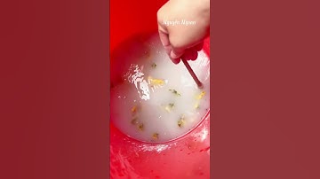 Ủ NƯỚC VO GẠO TƯỚI CÂY TRỒNG