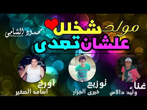 مولد شخلل عشان تعدي اورج اسامه الصغير غناء وليد دالاس توزيع الجزار