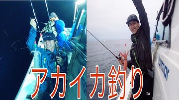 アカイカ釣り| Trải nghiệm câu Mực đêm|| mèo béo- cuộc sống tại nhật bản
