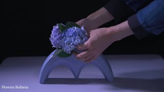 【池坊・自由花】紫陽花の花を変形花器に生ける。「見る生け花シリーズ＃5」