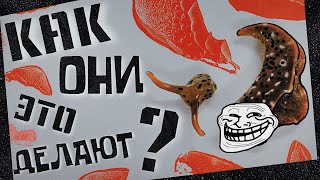 АМПУТАЦИЯ ГОЛОВЫ! Как слизняки удивили ученых | Новая носочная мода