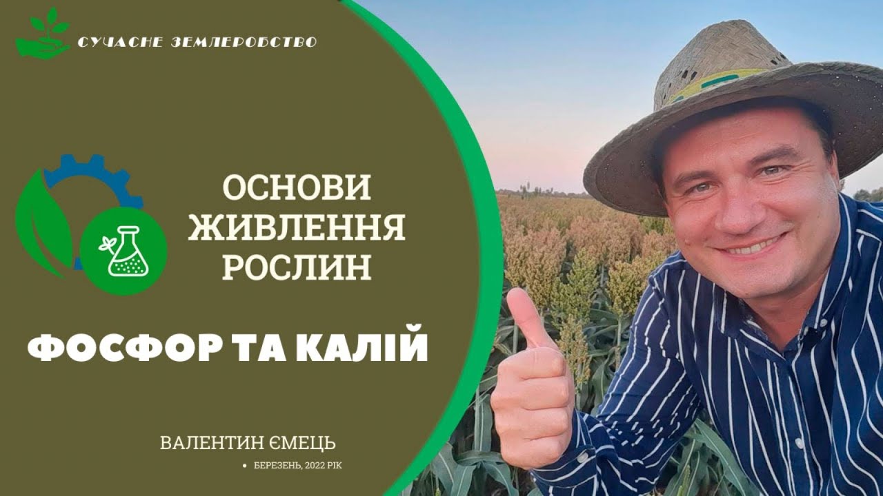 Фосфор та калій - особливості елементів