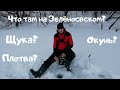 ОБЗОР на ЗЕЛЁНОВСКИЙ ПРУД,ПЕНЗЕНСКАЯ ОБЛАСТЬ!