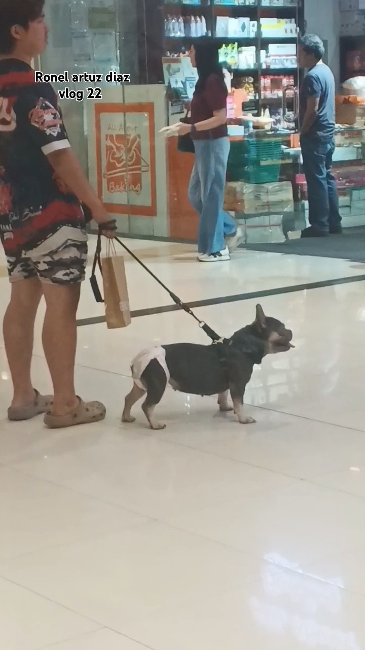 #travel #dog #mall