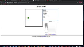 Details Web Turtle - Branching News
