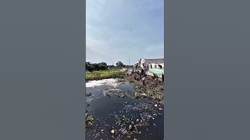 How 200 volunteers collected 100 tons of trash #saigonxanh #cleaning #satisfying #pollution #shorts