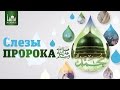 Слезы Пророка | www.azan.kz