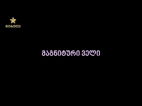 18.2. მაგნიტური ველი