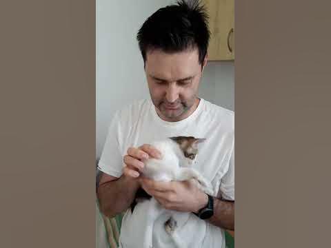Идем на "Охоту"! Ловить Василису прекрасную 🐾🤗 Полное видео на моём ...