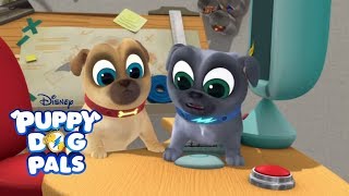 Take Your Dog to Work Day | Puppy Dog Pals | Clip
