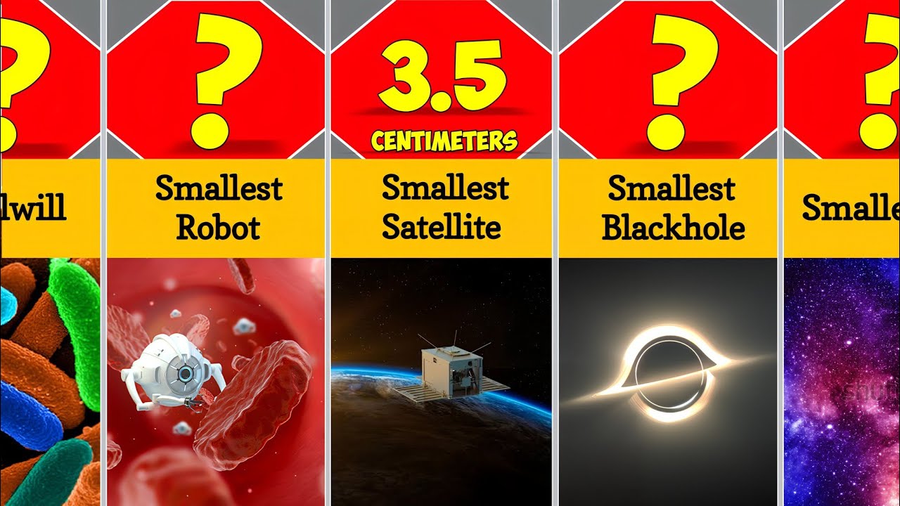 Every Smallest Thing In Universe Size Comparison !! - YouTube