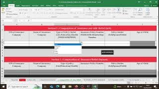 How To File 2024 Individual Income Tax Return with a P9 (Using The Excel Form IT1 option)