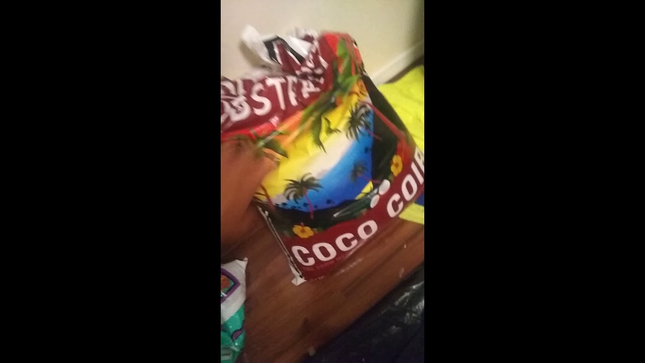 50/50 Soil with perlite for my Plants Just a quick transplant update