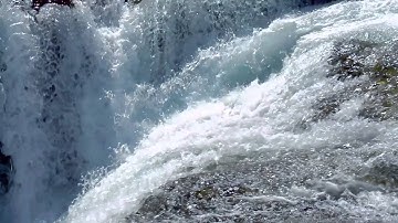 Connecting All of Science