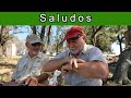 Saludos y Relatos
