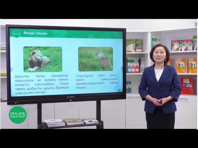 Ең әдемі аққұба киска