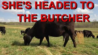 What you Need to Know about Taking a Cow to the Butcher, Cost, Cuts and More!